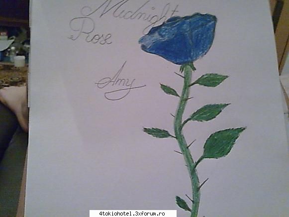 Amy's stuff - ��●ღ �ℓ�ε ღ�ღ κ�тт�ε ღ●�� - ~● Fan●Art ●~