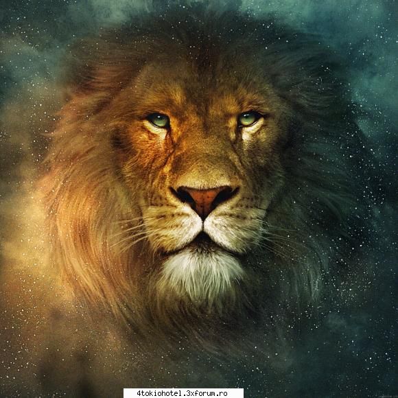 Leii - Da..Fufa dreaq.. :x :x :x :x :x Asa..Calma - ~● Animale ●~
