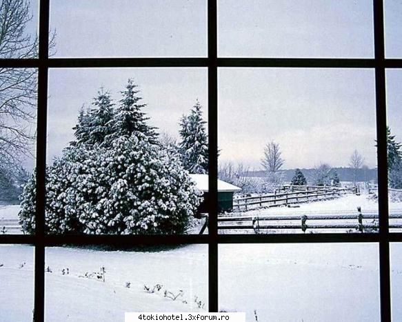 Rate the pic - ♪ღ�ħγρή�τ♪�Θρτ��η�ღ - ~● Games ●~