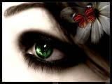 Rate the pic - 4 X________________X saracutul tom uite ce i-au - ~● Games ●~