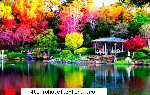10 :nebun: rate the pic