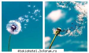 Rate the pic - 9.5 ador lucrurile vechi - ~● Games ●~