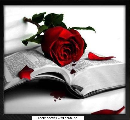Rate the pic - ♫ஐ��εℓїνε �η ��μ��εℓ��ஐ♫ - ~● Games ●~